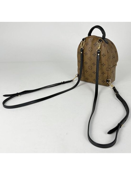Louis Vuitton Palm Spring Backpack Mini Monogram Reverse Brown